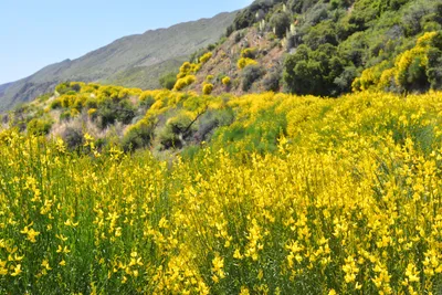 DSC_7312 (Large).JPG